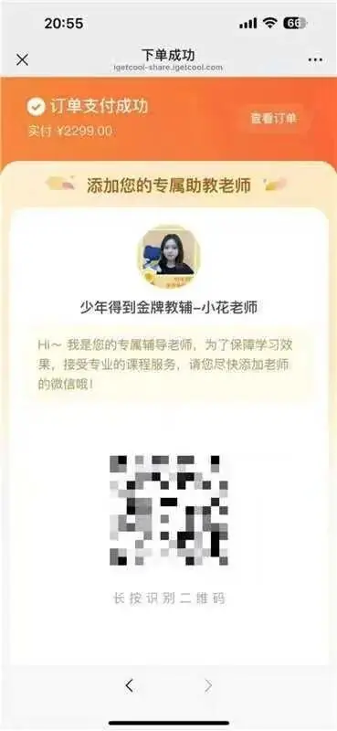 糊成一团的伪造付款图